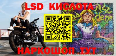 эйфоретик Обнинск